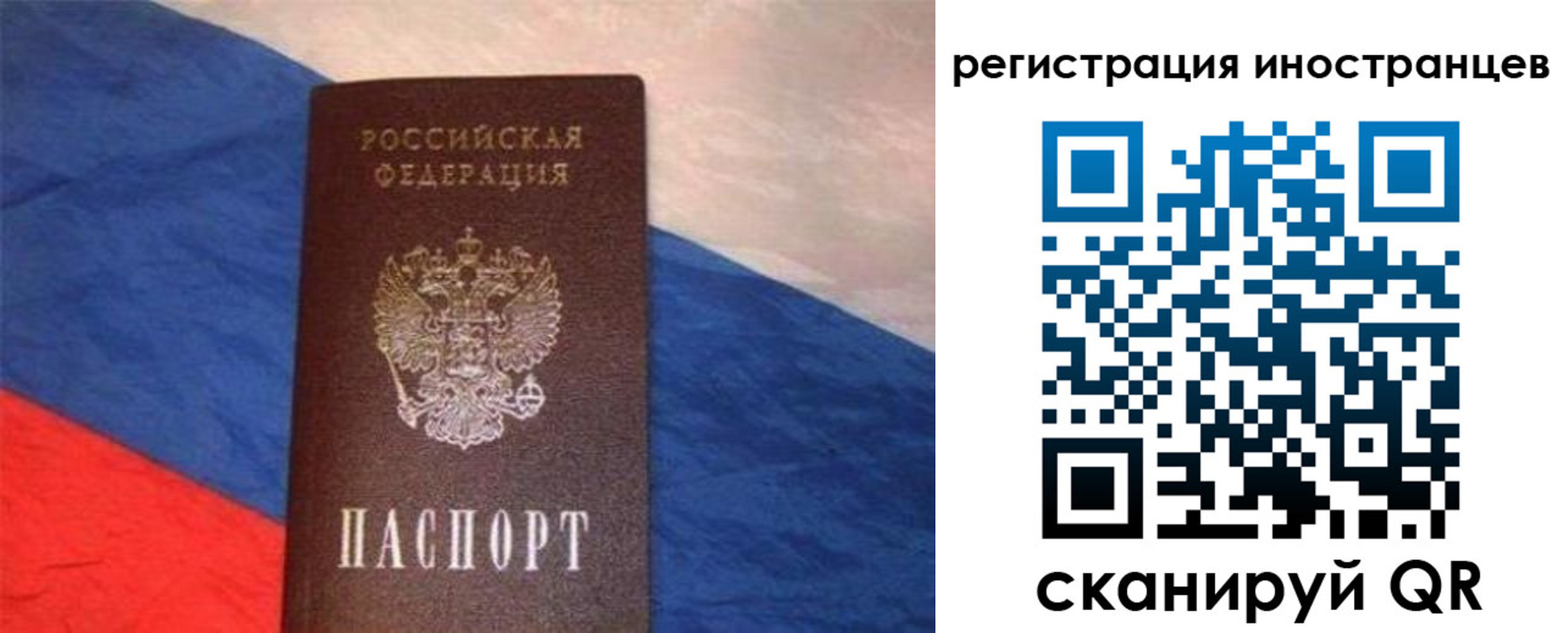 прописка в Сафоново
